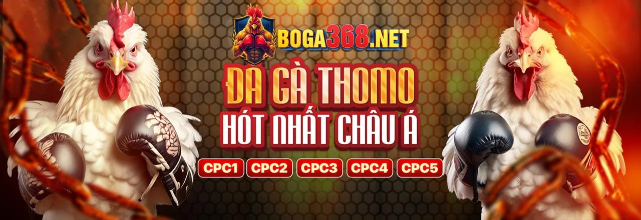 Hộp quà chào mừng, biểu trưng khuyến mãi chào mừng thành viên mới tại Vabet Trang Chủ
